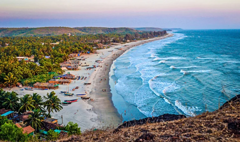 GOA